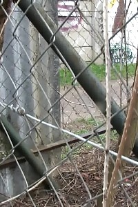 Brunette Lady Pisses On A Public Path