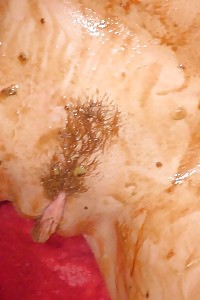 Co-ed Brunette Unclothing And Changing Underwears In The Storage Locker