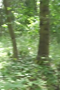 Dazzling Ginger Morgan Squats To Pees Outside