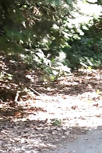 Outdoor Peeing For Stunning Blonde On Cycle Path