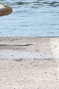 Kinky Black-haired Sprays Her Pee Onto The Ground